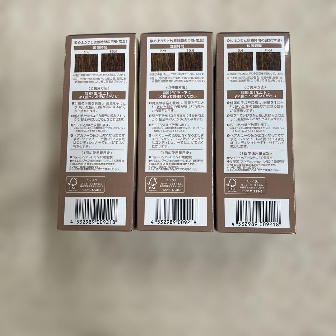 ヘアボーテ エクラ ボタニカル　 　エアカラーフォームEX 　（ライトブラウン）