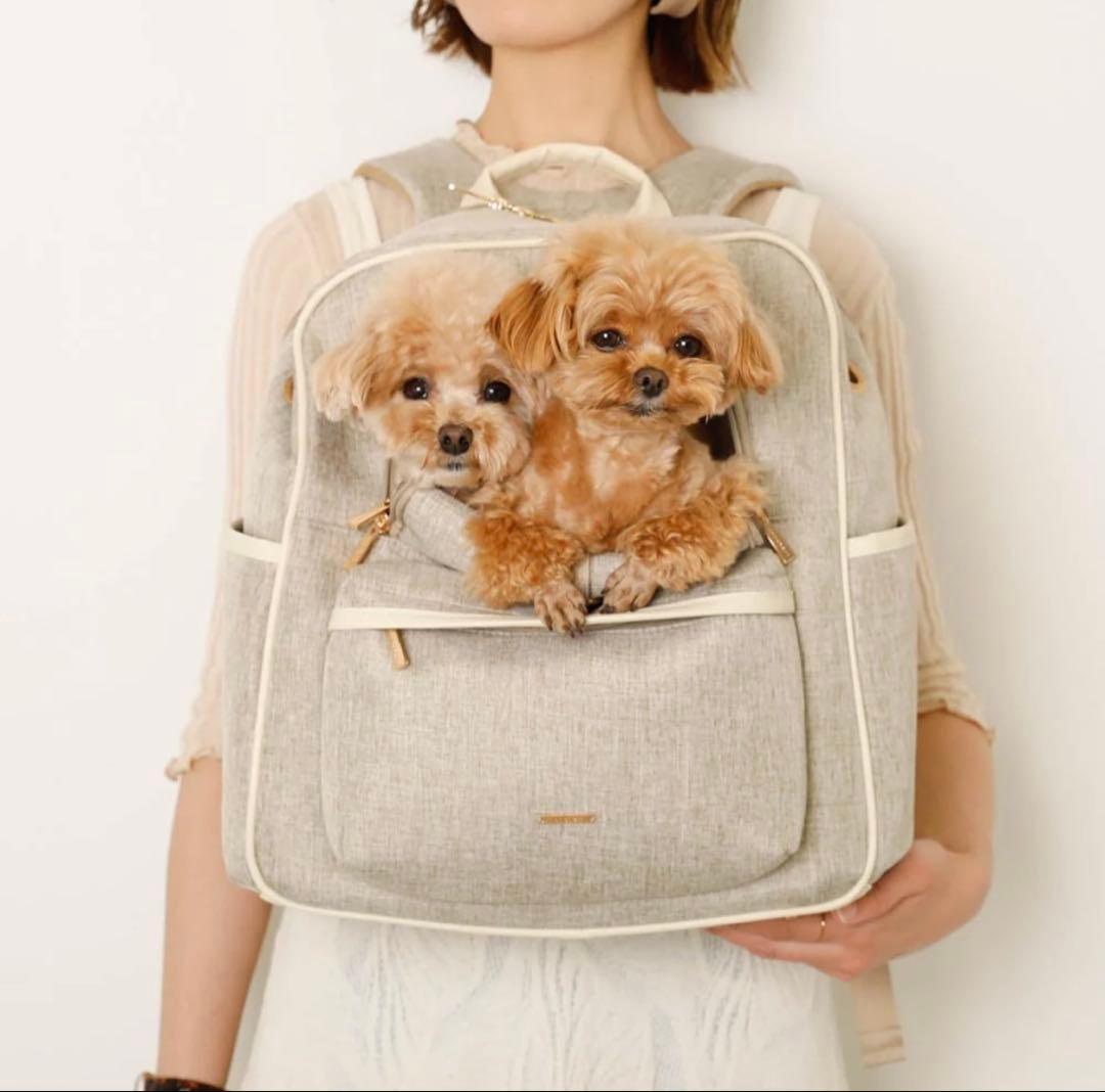 ＊タグ付モンシェリ　パイピングリュックキャリー＊