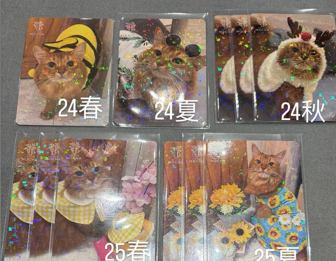 猫カフェ mocha 町田 にゃんずトレカ