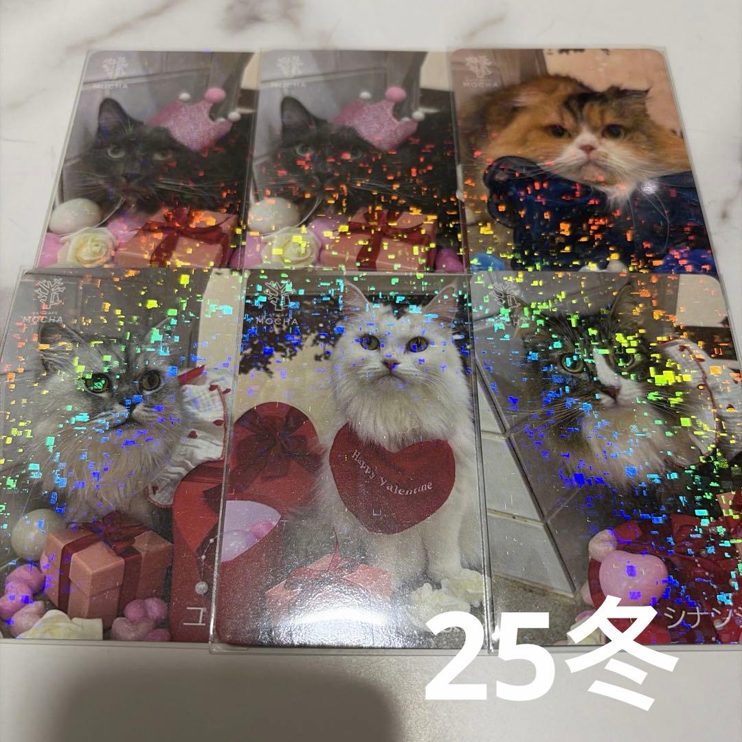 猫カフェ mocha 町田 にゃんずトレカ