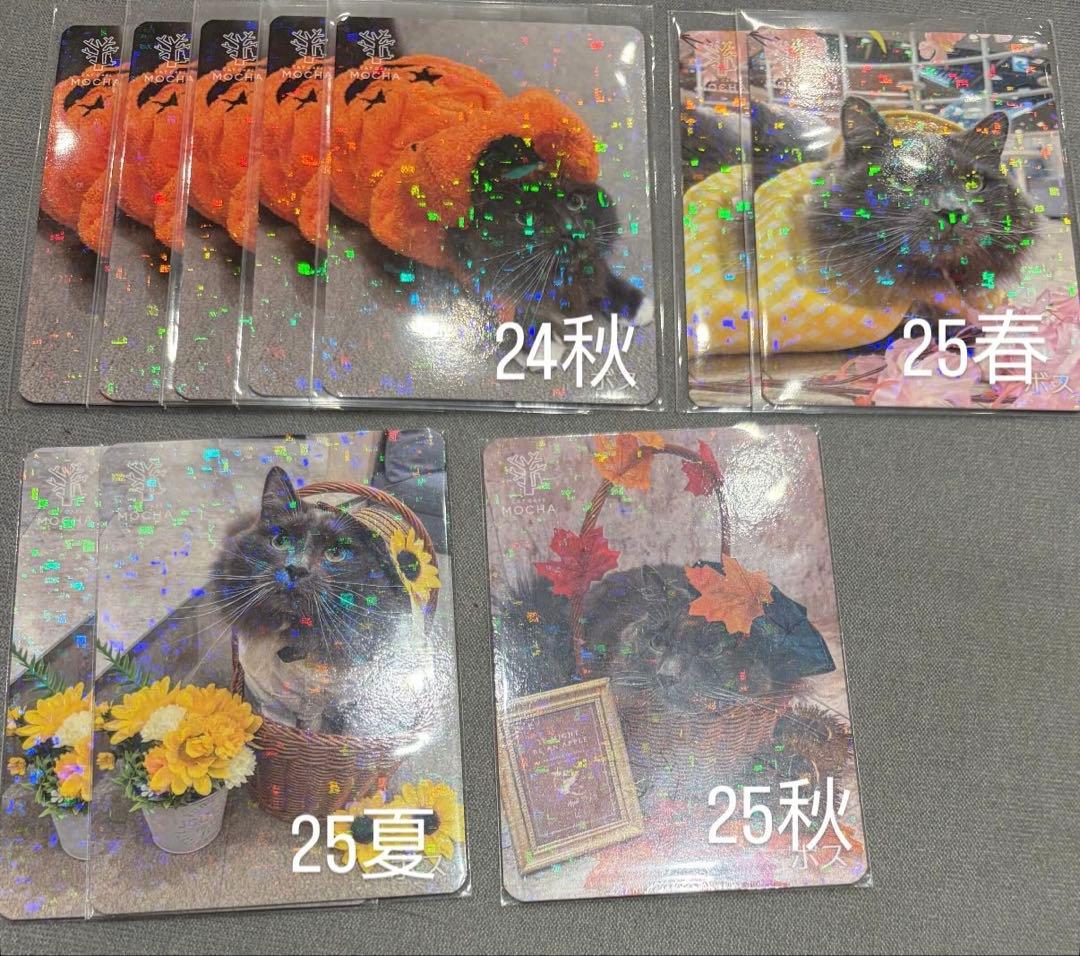 猫カフェ mocha 町田 にゃんずトレカ