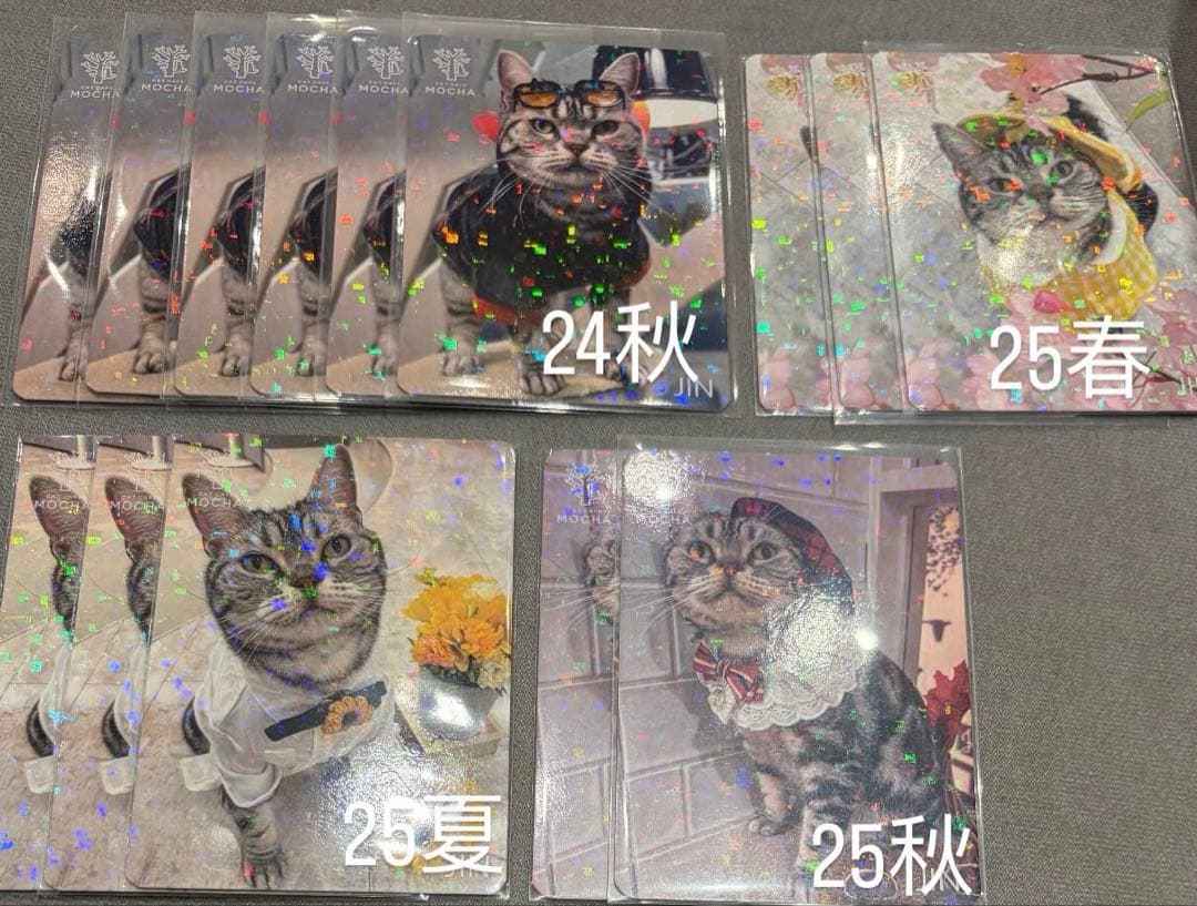 猫カフェ mocha 町田 にゃんずトレカ