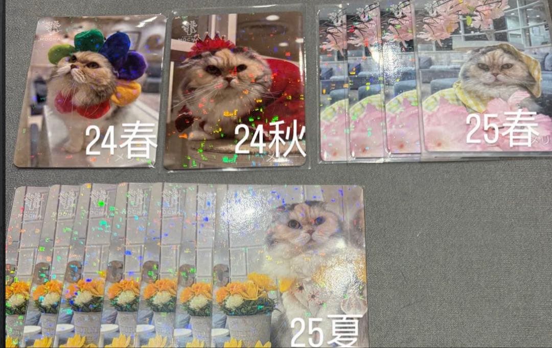 猫カフェ mocha 町田 にゃんずトレカ