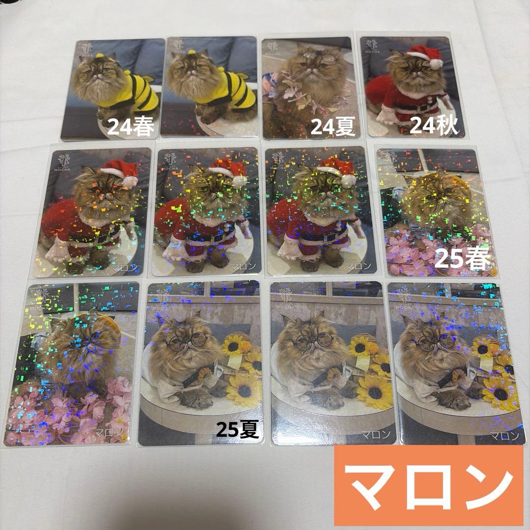 猫カフェ mocha 町田 にゃんずトレカ