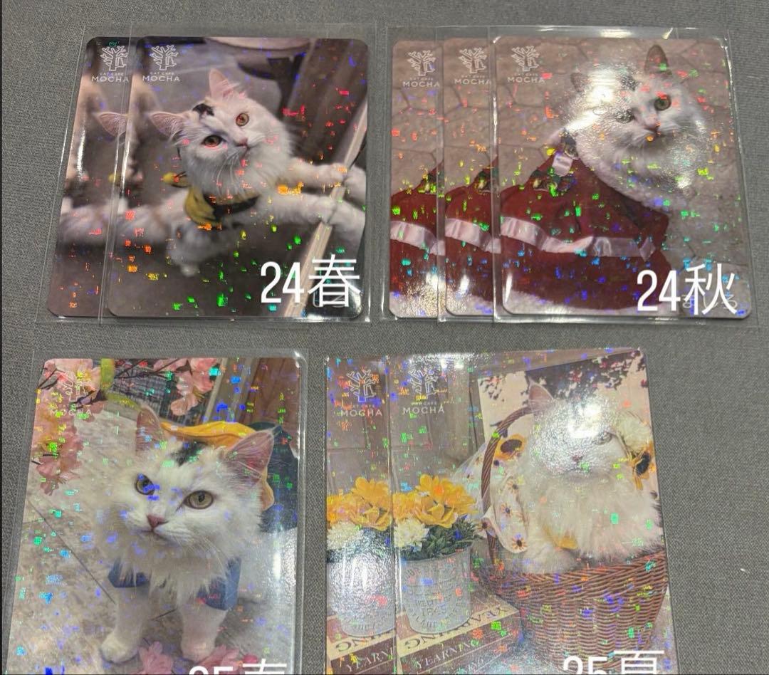 猫カフェ mocha 町田 にゃんずトレカ