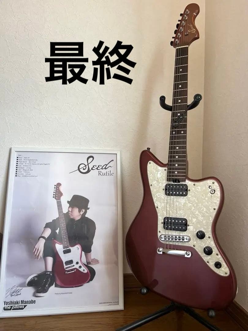 Seed Rattle ピロウズ　真鍋吉明モデル