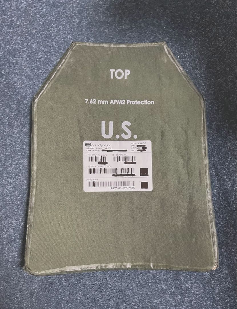 劇レア 米軍実物 USED品　キャリアプレート Lサイズ 2枚組