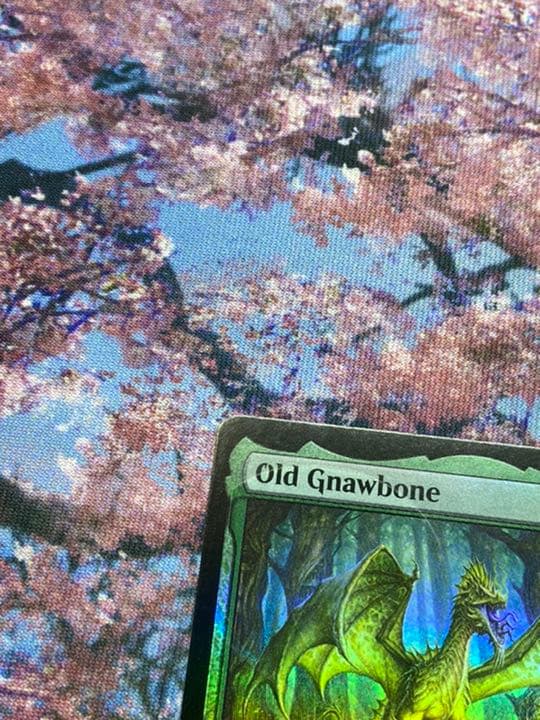 MTG アンパサンド プロモ 年老いた骨齧り　Old Gnawbone 美品