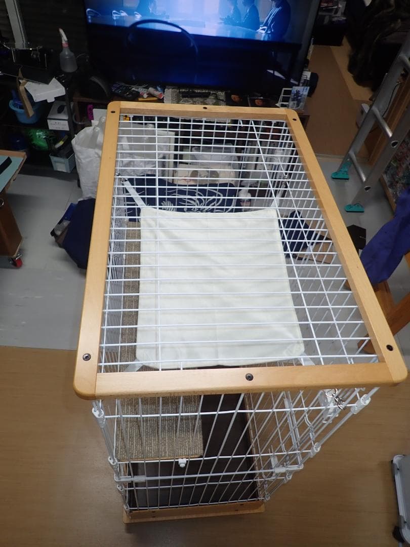 OSJ 猫ケージ　（美品）