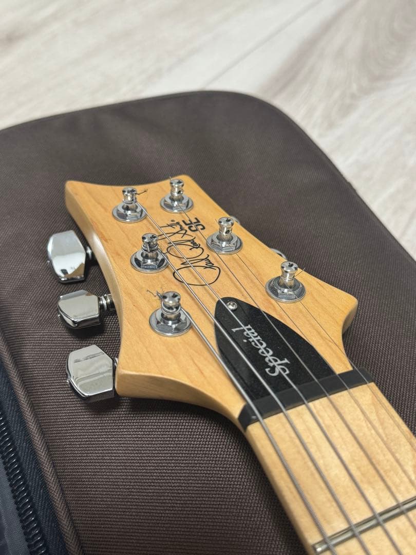 PRS SE Swamp Ash Special【中古】