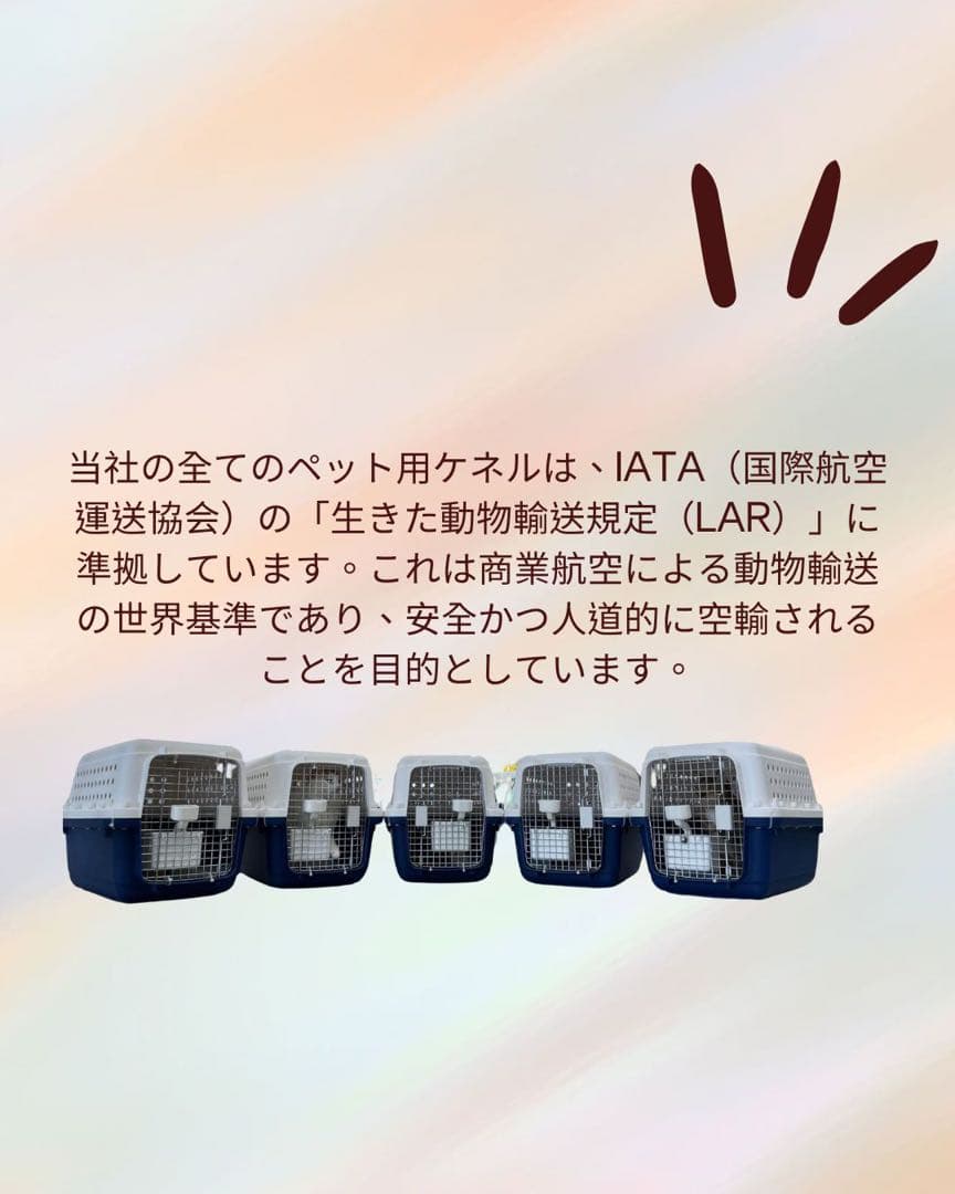 猫犬　ケージ クレート　ペットパレス BB60N 移住　お出かけ 輸送