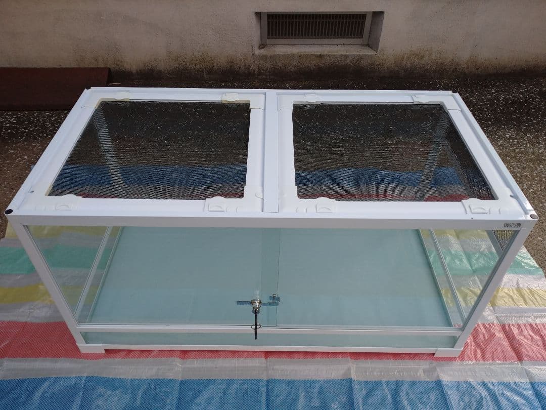 爬虫類ゲージ 引き取り