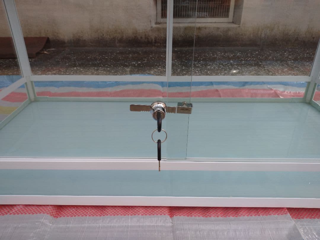 爬虫類ゲージ 引き取り