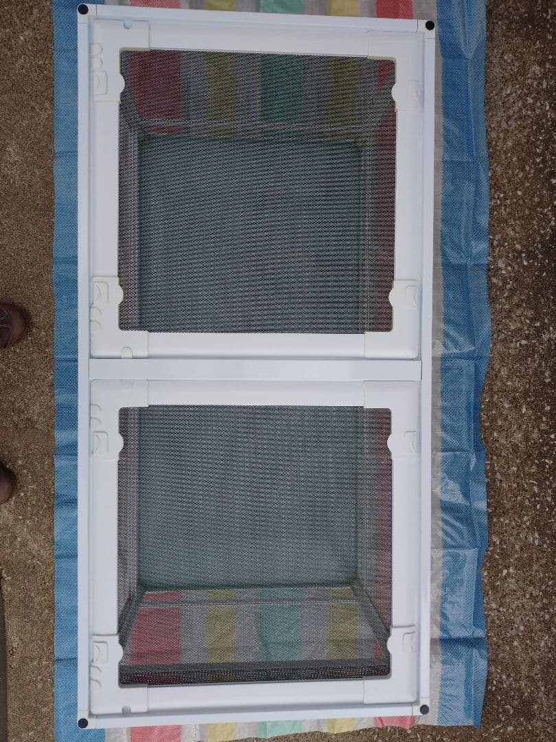 爬虫類ゲージ 引き取り