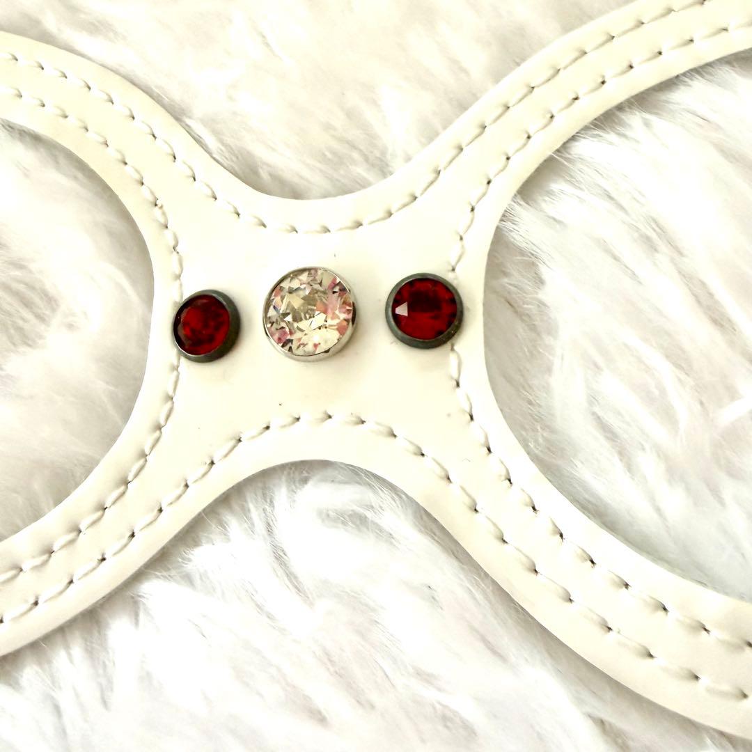 [新品] BBベルト 2.5号 スワロフスキー付き+リード セット*ホワイト