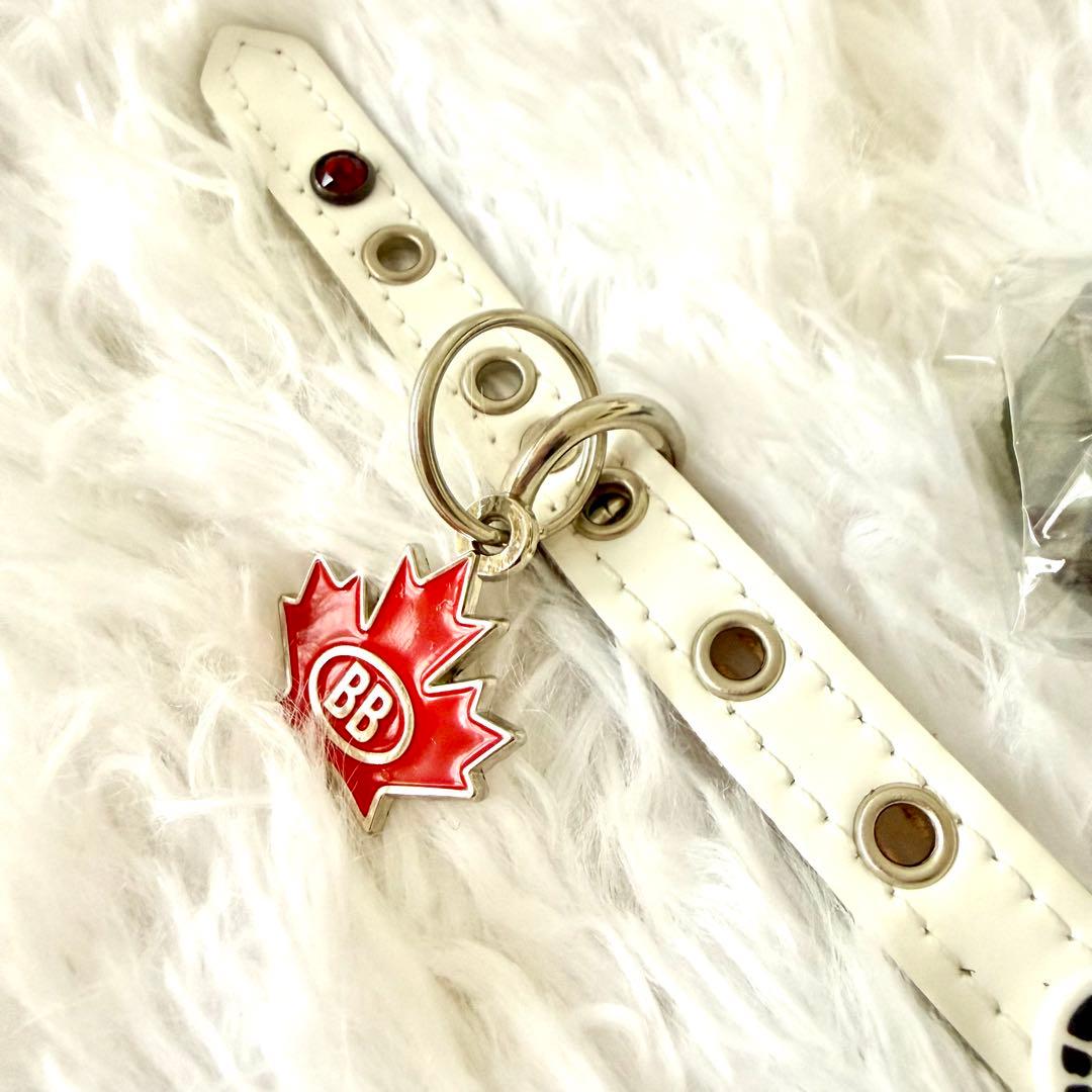 [新品] BBベルト 2.5号 スワロフスキー付き+リード セット*ホワイト