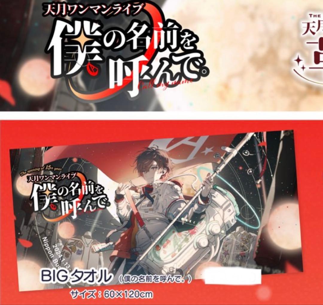 天月 武道館 僕の名前を呼んで BIGタオル