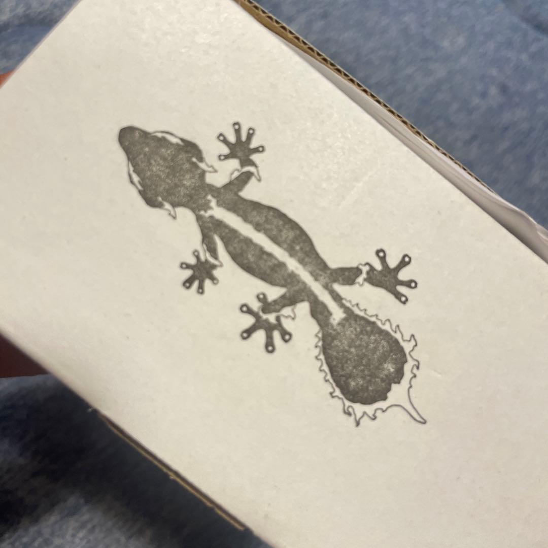 【美品】OZWRT Agave Leaf Tailed Gecko 17cm