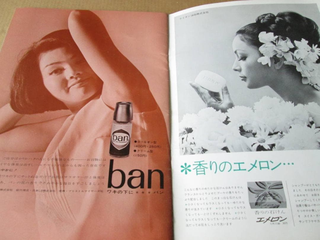 ビートルズ☆ 日本公演 パンフレット ★ 1966年☆ピンナップ・保護紙付