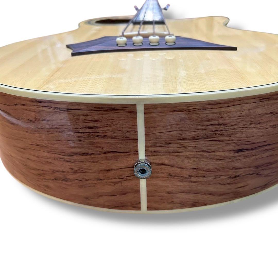 Warwick Alien Deluxe 4弦 アコースティックベース