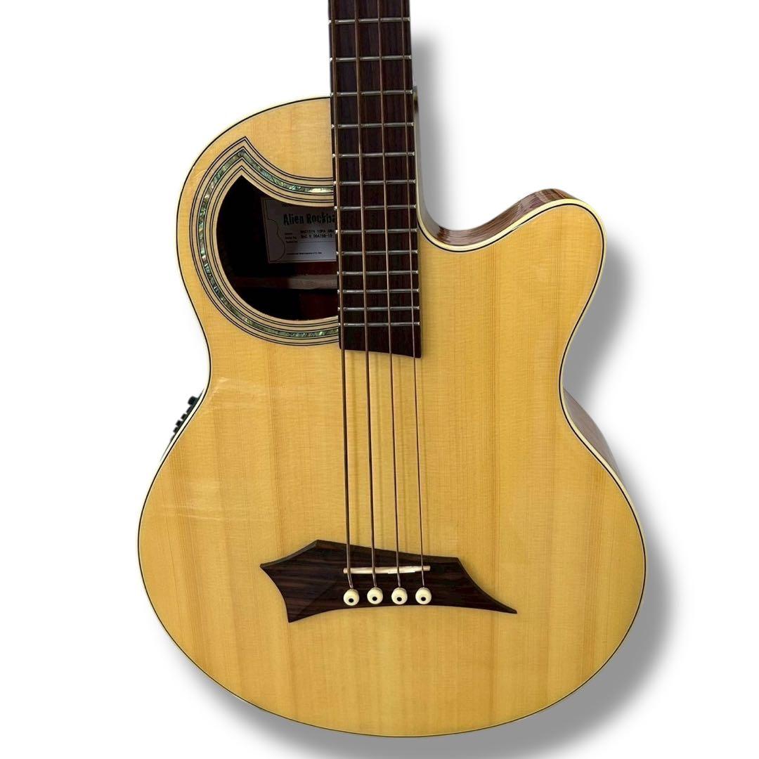 Warwick Alien Deluxe 4弦 アコースティックベース