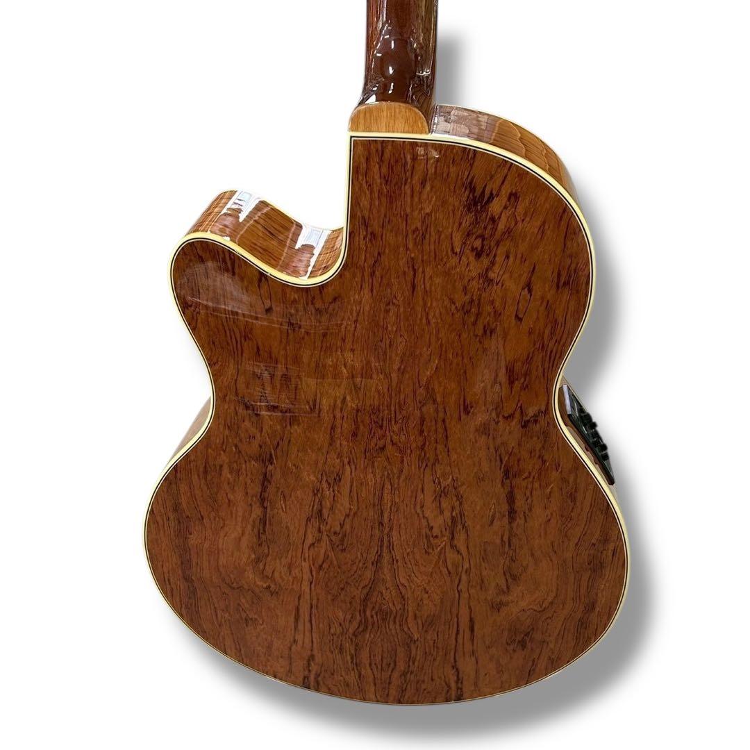 Warwick Alien Deluxe 4弦 アコースティックベース