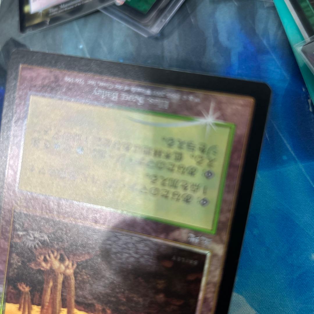 mtg Foil 低木林地/Brushland》[7ED] 日本語 jp