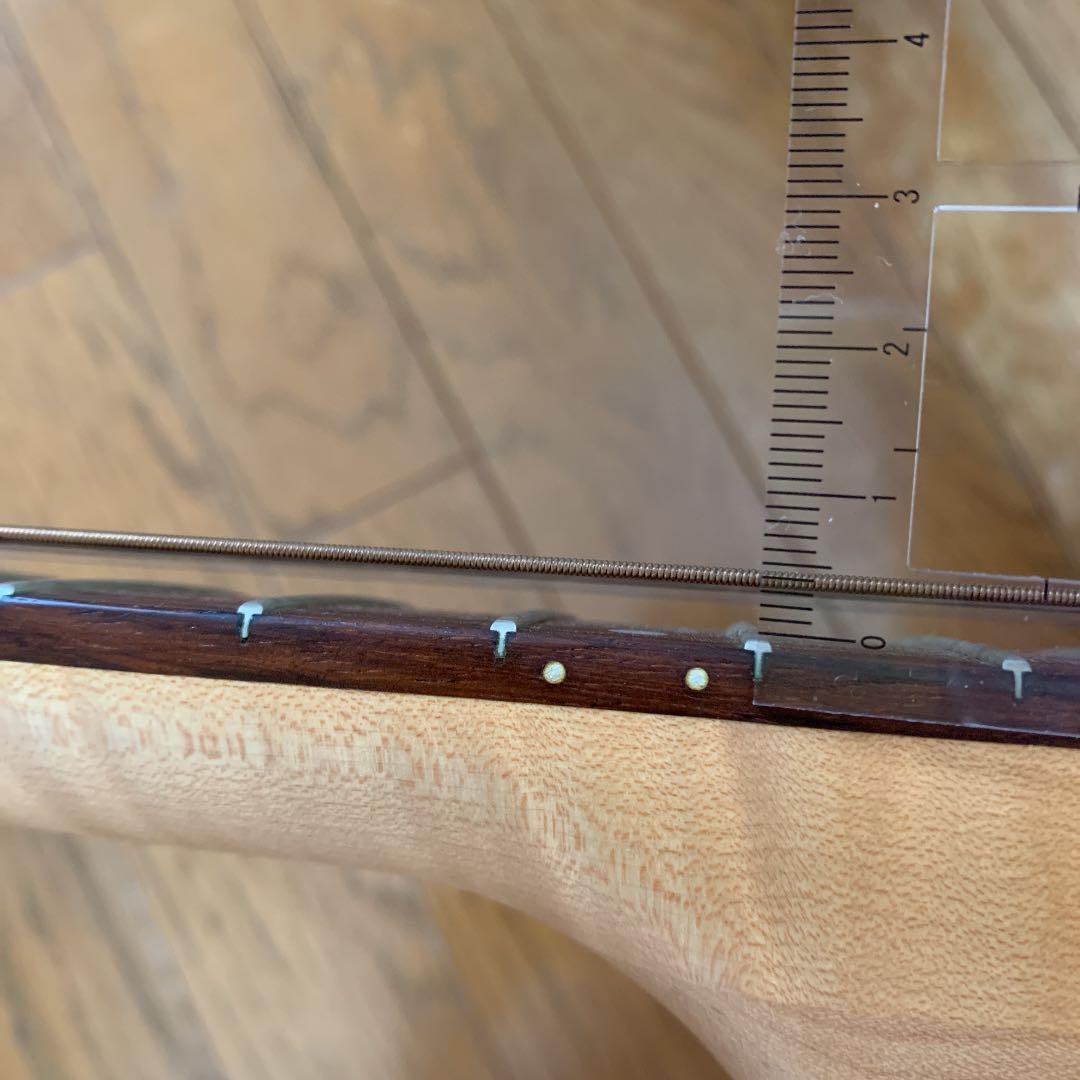 エレアコ　ギター seagull Amber Trail シーガル