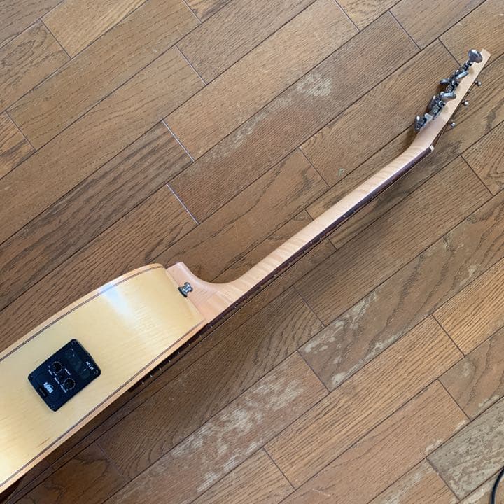 エレアコ　ギター seagull Amber Trail シーガル