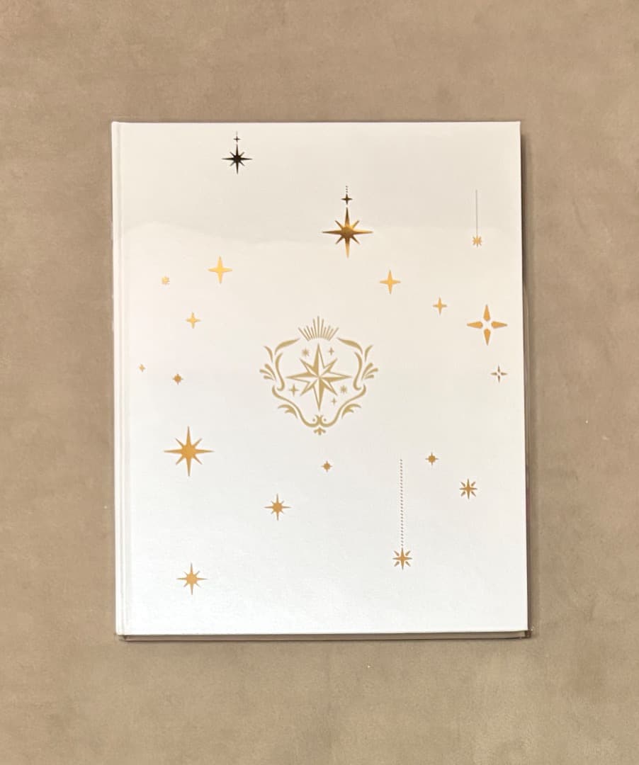 現地販売限定エラー品 FGO fes 2025 album