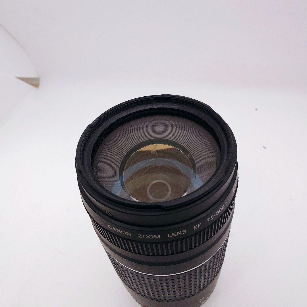 デジタル一眼レフカメラ/Canon EF 75-300㎜ 1:4-5.6 Ⅱ