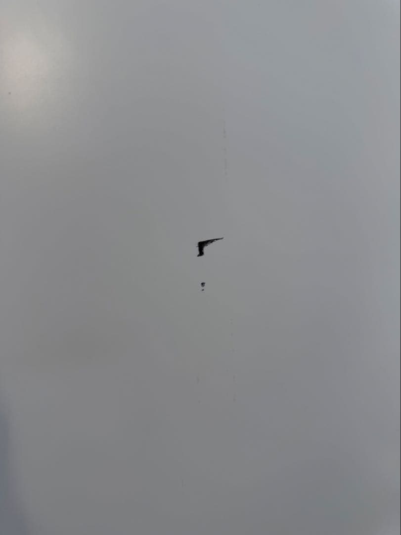 Panasonic 冷蔵庫 2019年製 6ドア NR-SPF454X-W 美品