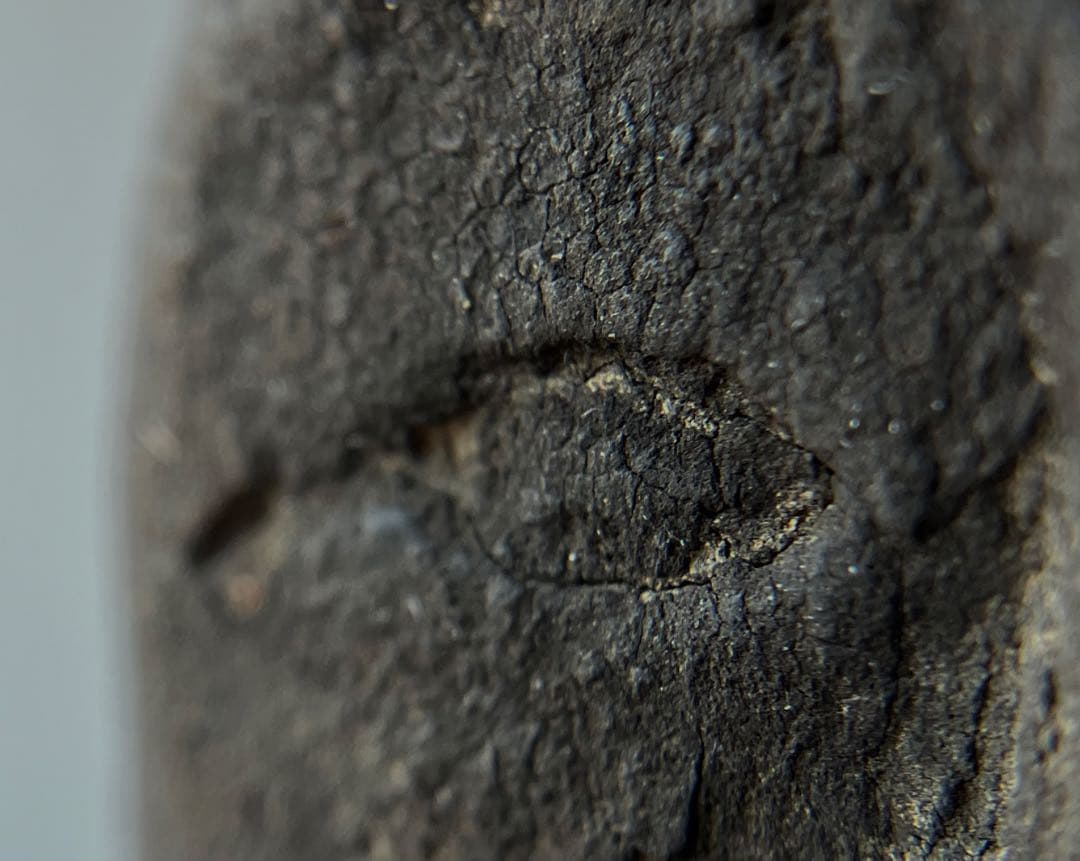 【黎明期の恵比寿木彫 室町時代頃】骨董七福神アンティーク仏像美術彫刻民藝妖怪古事