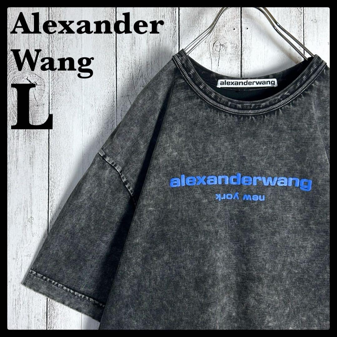 284【人気デザイン】アレキサンダーワン☆プリントロゴTシャツ ウォッシュド