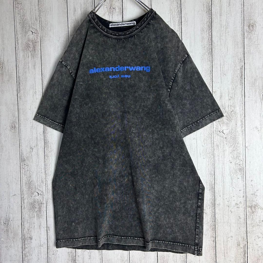 284【人気デザイン】アレキサンダーワン☆プリントロゴTシャツ ウォッシュド