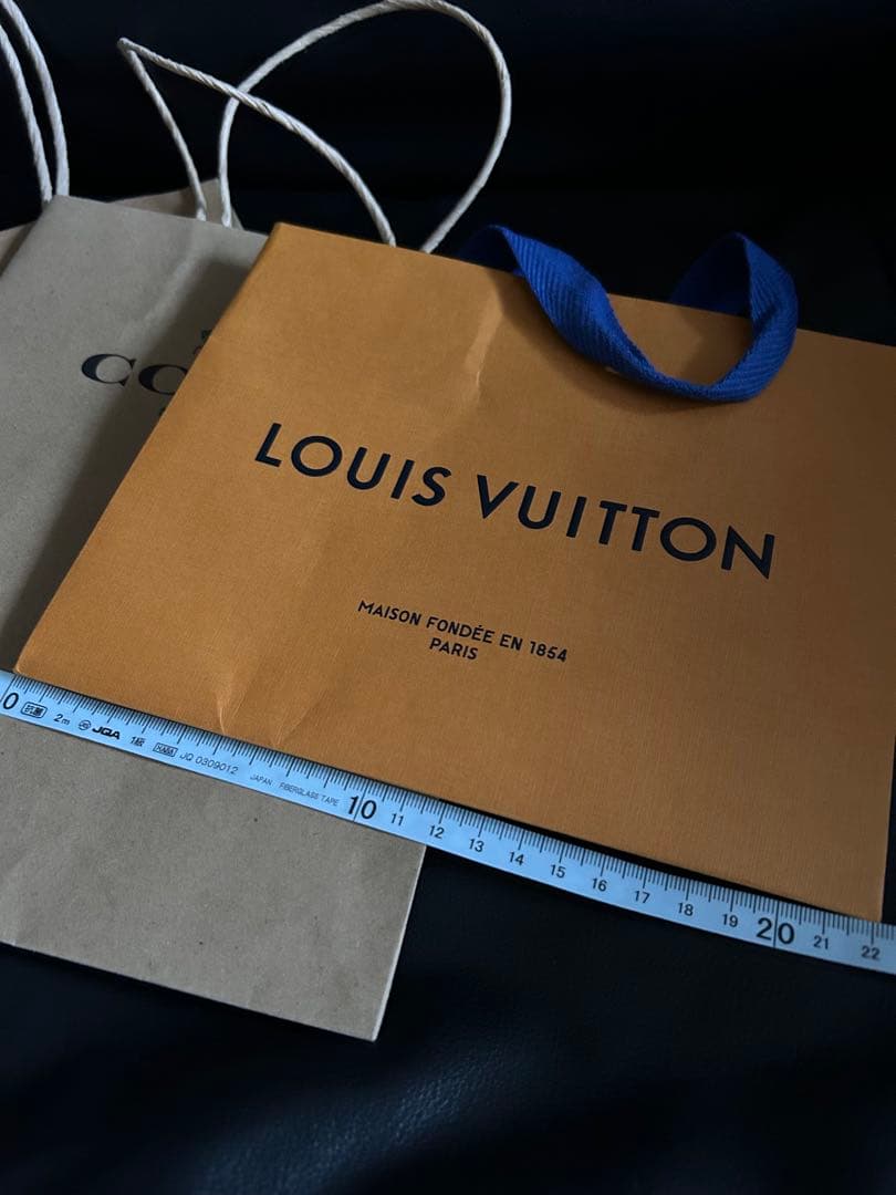 LOUIS VUITTON & COACH (２枚) ショッパー