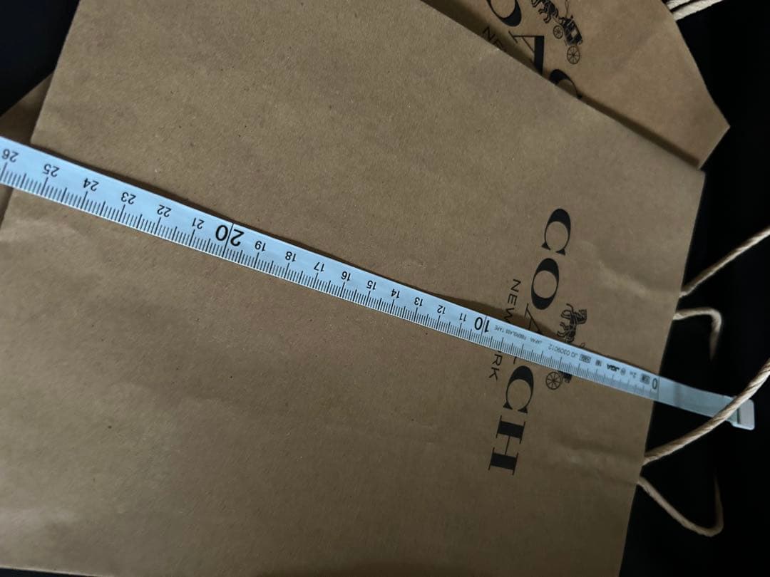 LOUIS VUITTON & COACH (２枚) ショッパー