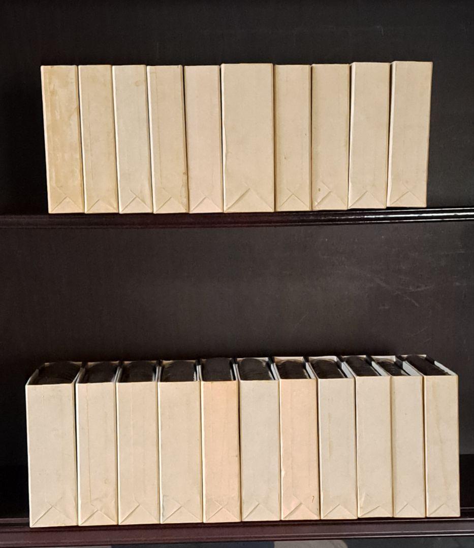 ドストエフースキイ全集全20巻別巻1