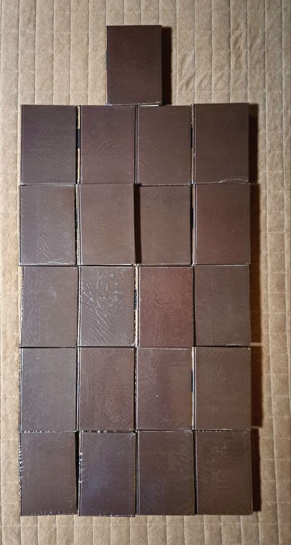 ドストエフースキイ全集全20巻別巻1