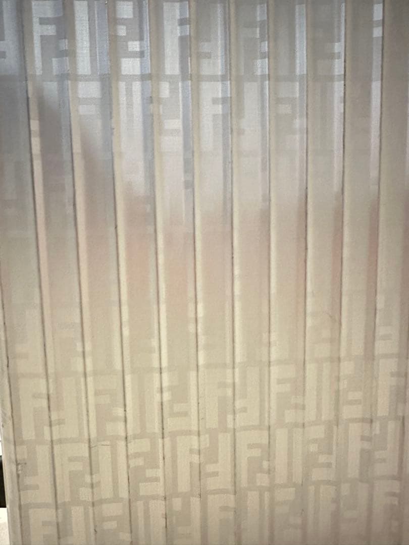 Fendi シルバー キャリーケース 中型