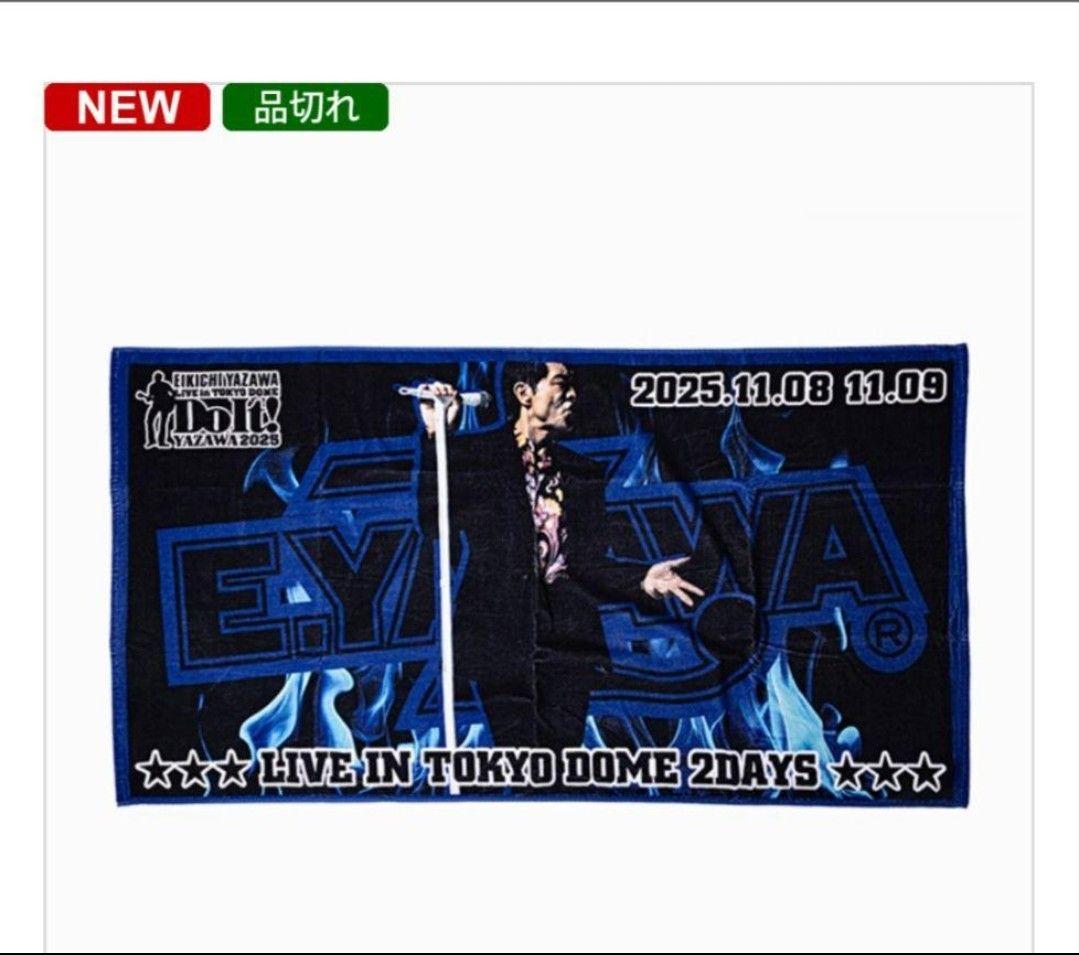 矢沢永吉 ドーム限定品 SBT トランポ ポージング！2dayチケット 新聞広告