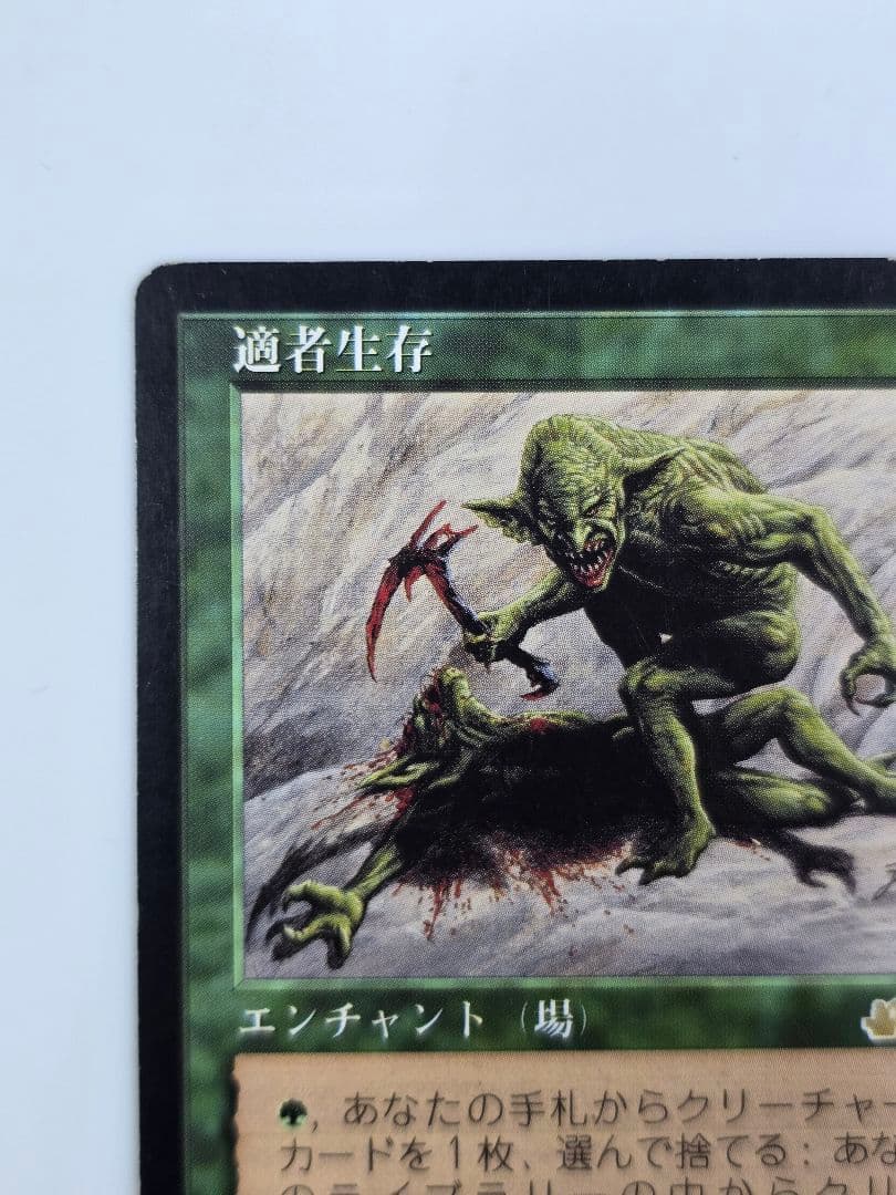 適者生存/Survival of the Fittest、EXO、日本語、１枚