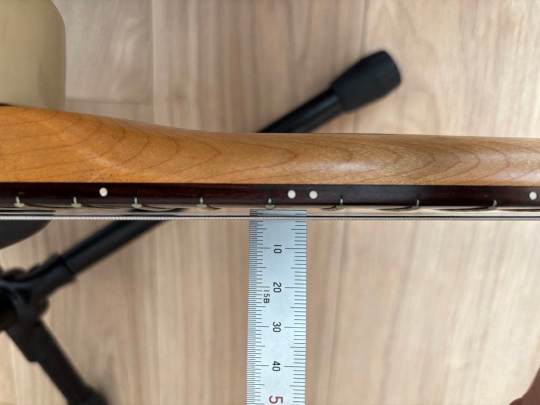 ミニギター　ZO-3 FERNANDES