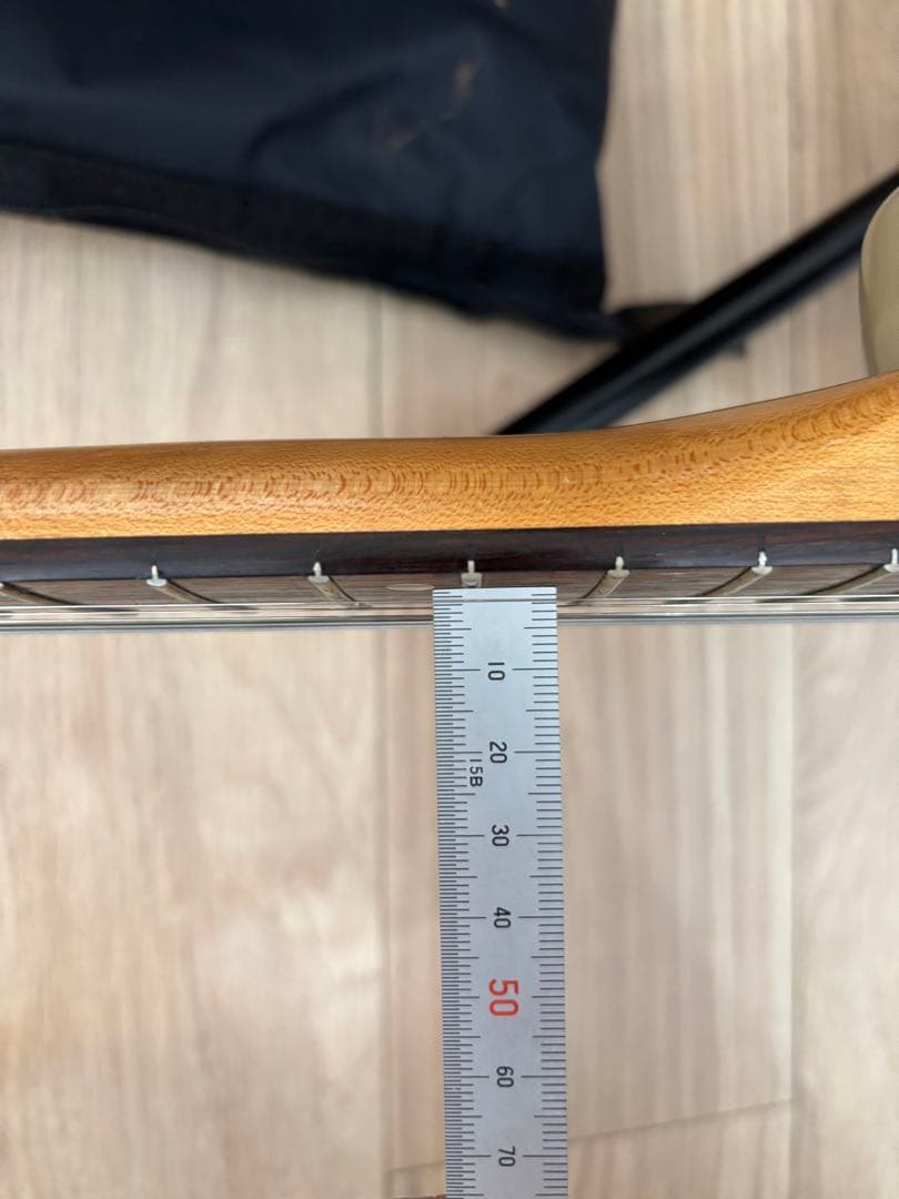 ミニギター　ZO-3 FERNANDES