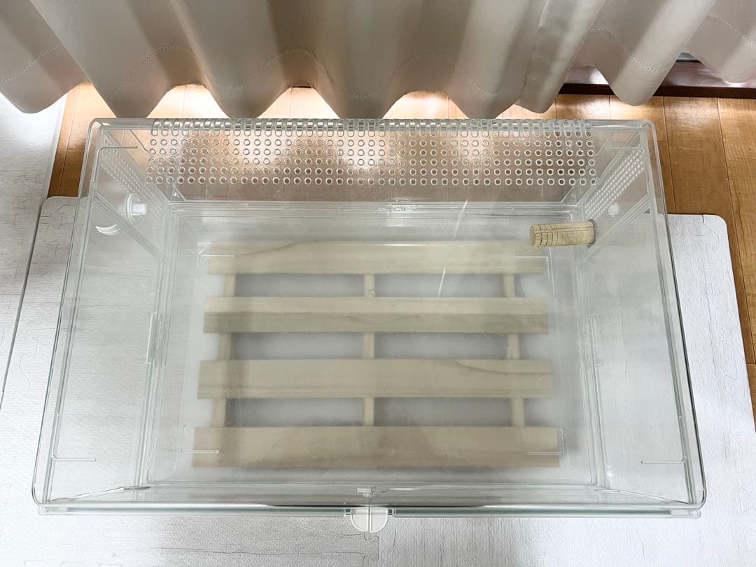 グラスハーモニー 600