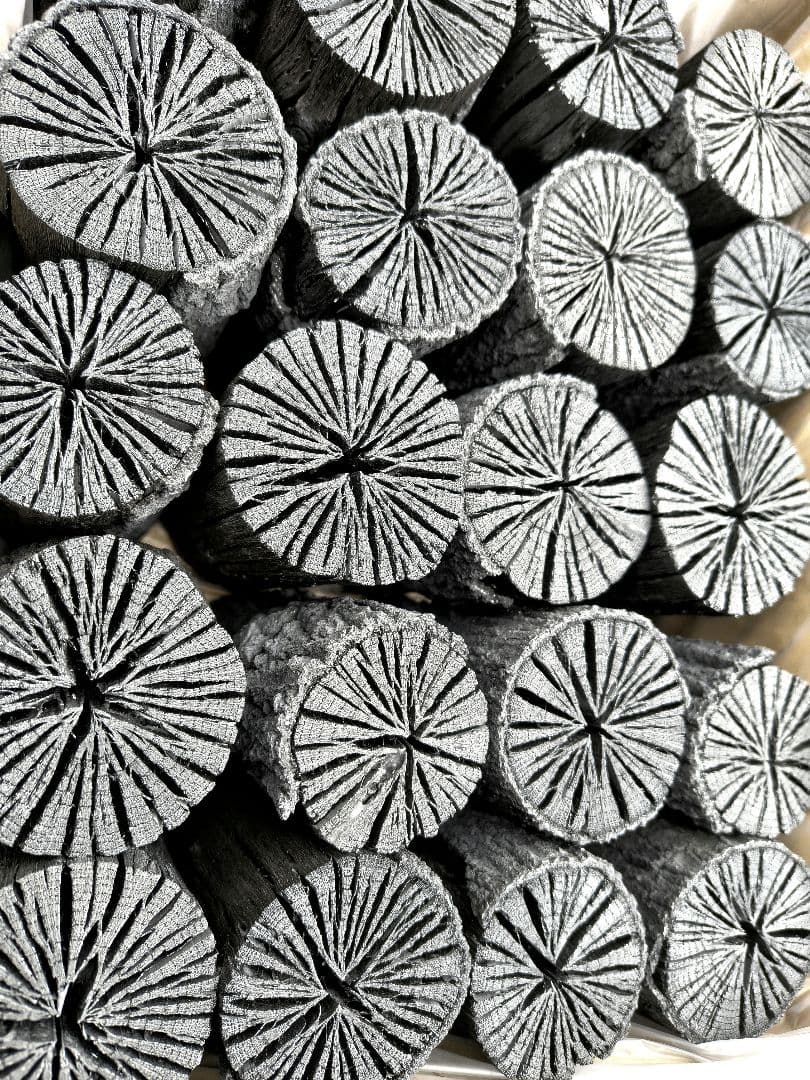 【愛媛産】クヌギ炉用胴炭 皮剥がれ