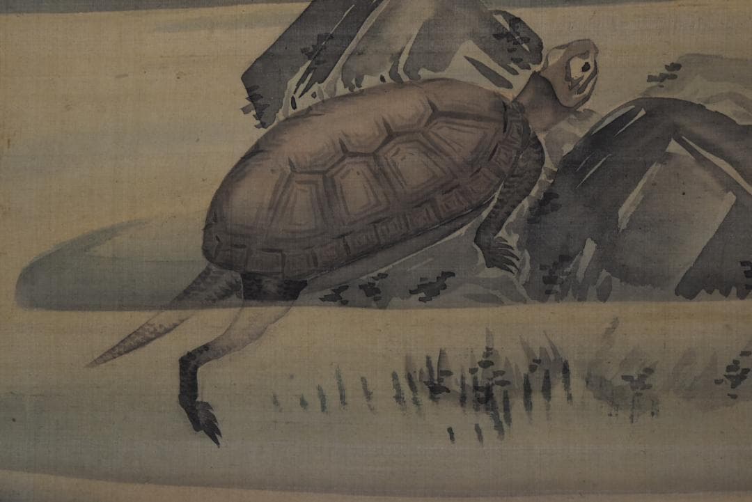 【真作】駒井源琦/河骨に亀図/掛軸☆宝船☆Z-742