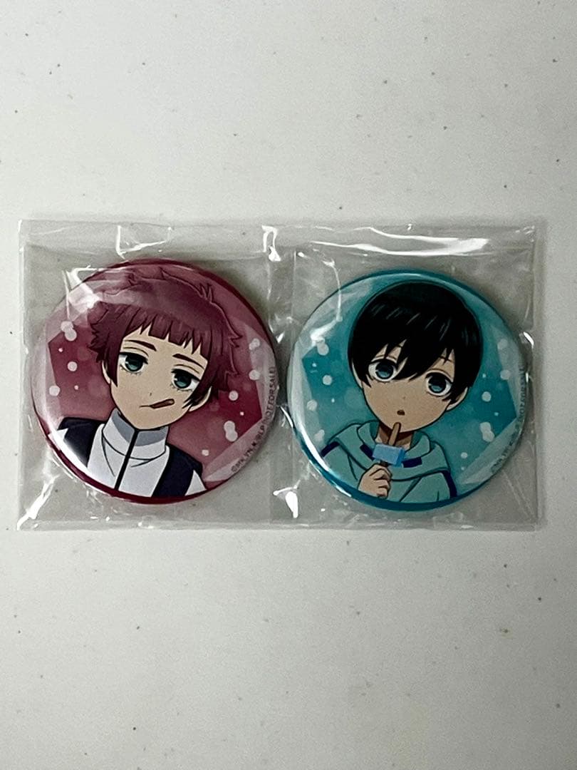 ブルーロック　Blu-ray　U-20 2　アニメイト限定特典　凛　冴