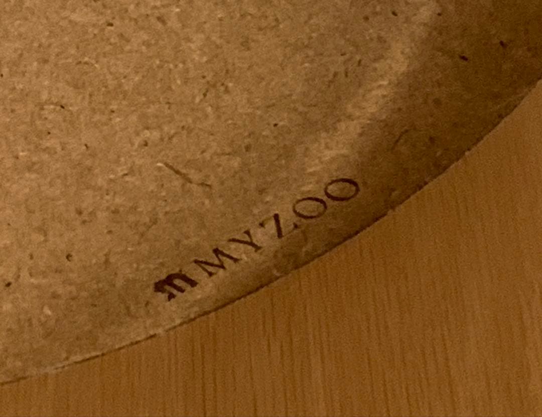 MYZOO 宇宙船　GAMMA 猫用ベッド