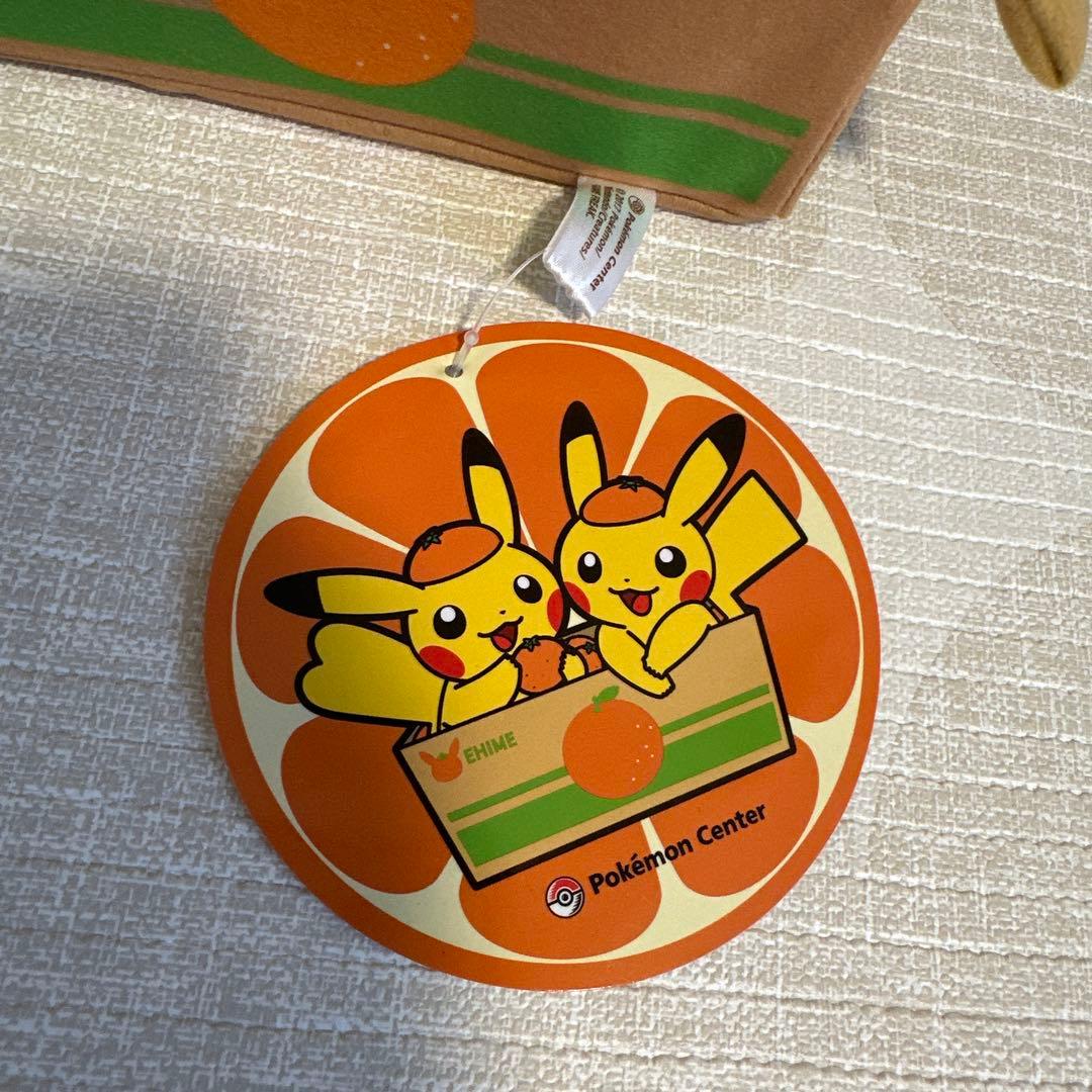 愛媛限定ポケモンセンター　ペアピカチュウぬいぐるみ